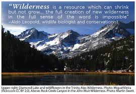 Wilderness Quotes And Sayings. QuotesGram via Relatably.com