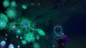 conduit crystal subnautica 2 Picture