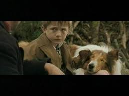 Lassie (2006) - Rotten Tomatoes via Relatably.com