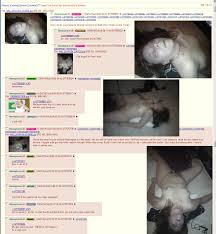 Image result for 4chan hacks podesta twitter