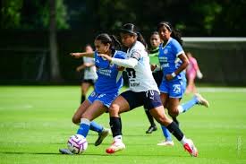 Club Universidad Nacional