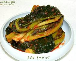 돌산 이미지
