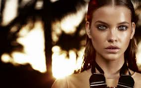 You can download wallpaper Barbara Palvin Wallpaper Phone for free here.