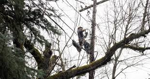 Power outages impacted thousands of Portland-area residents