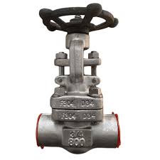 ASTM A182 F304 Gate Valve, 3/4 Inch, 800 LB, API 602 | Bosseal