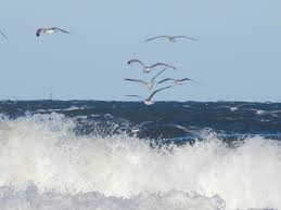 Znalezione obrazy dla zapytania morze bałtyckie