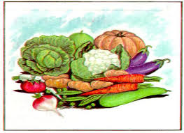 Dibuix de vàries verdures i hortalísses per mantenir una dieta sana i equilibrada