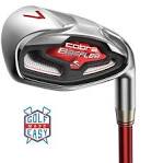 Cobra Golf FlyZ Irons -