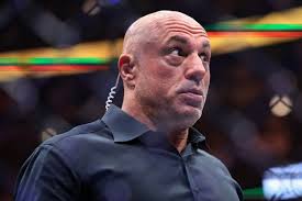 Joe Rogan highlights UFC 327 star a lot of people are sleeping on: ‘He’s like a hitman’