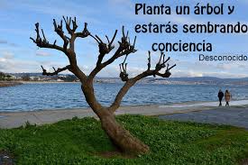 Resultado de imagen para frases conciencia ambiental