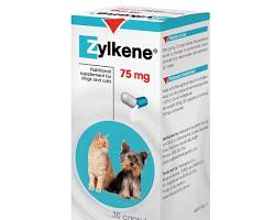 Zylkene for dogsの画像