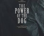 Image of Power of the Dog (2021) movie poster