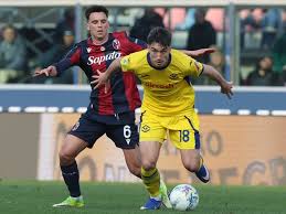 Hellas Verona vs Genoa: All You Need to Know Ahead of the Match