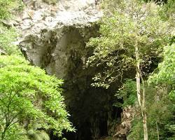 Cueva del Guacharo, Venezuela