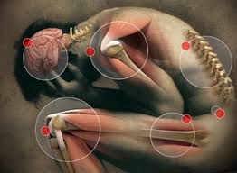 Image result for Parkinson’s Disease