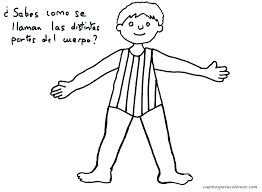 Resultado de imagen para cuerpo humano