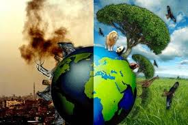 Resultado de imagen para medio ambiente