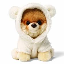 images?q=tbn:ANd9GcSCjEHTqnNywoq4tJIhR79