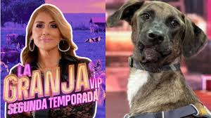 ¡Tlacoyo preocupa a los participantes de La granja VIP 2026! Aseguran que se ve 