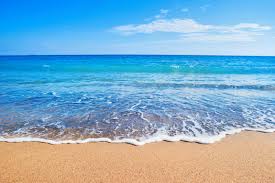 Image result for beach