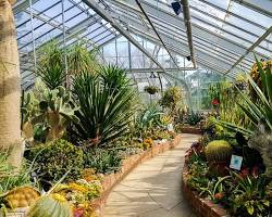 Allan Gardens