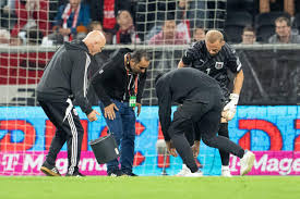 ¡Insólito! Hoyo retrasa partido Austria-Chipre en Eliminatorias Mundialistas - Imagen principal del artículo