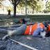 Native American, Revolutionary War artifacts sought inBoston...