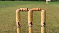 Bihar to launch Rural Cricket League to empower grassroots talent