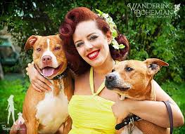 Image result for pitbulls and pinups