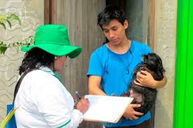 ¡Boom Perruno! ¿Cuántos perros viven en tu vecindario? Datos INEI