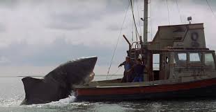 Image result for jaws