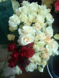 Image result for karangan bunga mawar biru