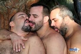 Image result for bear porn