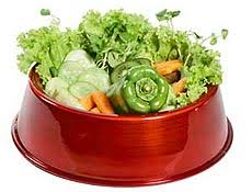 Resultado de imagem para CAES - CULINARIA VEGETARIANA