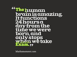 Exam Quotes on Pinterest | Studying, Final Exams and Finals via Relatably.com