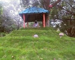 Image of TNAU Botanical Garden, Coimbatore