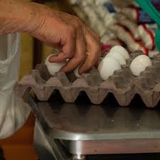 ¿Cómo Saber Si los Huevos que Compré Están Contaminados con Salmonella? Así los Identificas