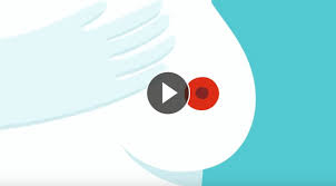 Resultado de imagen de asisa