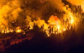 Grande incêndio florestal na Patagônia argentina está fora de controle e já destruiu 5.500 hectares