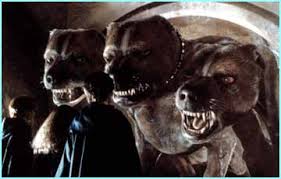 Resultado de imagem para cachorro de 3 cabeças de hades