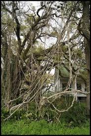 Résultat de recherche d'images pour "horrific haunted houses abandoned"