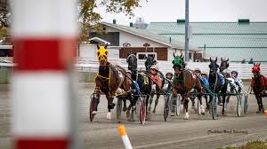 Standardbred Canada - News update