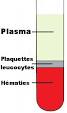 Vitess de sedimentation