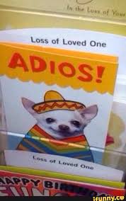 Billedresultat for loss of loved one adios