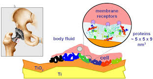 Image result for Ceramic Metal Oxides