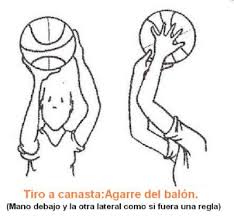 Resultado de imagen para fundamentos técnica del lanzamiento en baloncesto