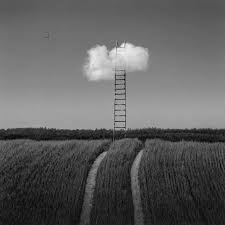 Resultat d'imatges de fotògraf Dariusz Klimczak