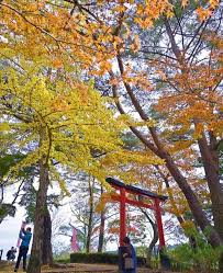 News source: Yahoo!ニュース