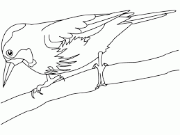 Resultado de imagen para simbolos patrios para pintar de venezuela