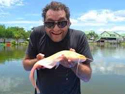 Image result for wels catfish